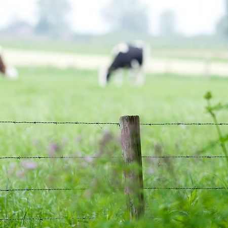 B & B De Lorijn Duiven Luaran gambar